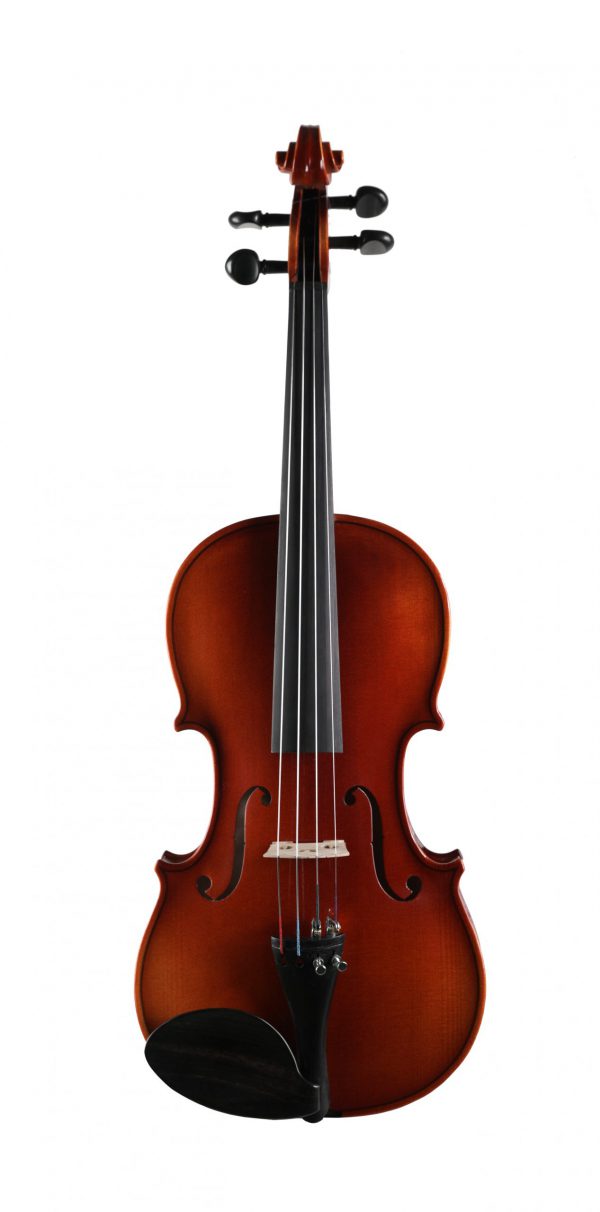 Скрипка Strunal 193w 4/4 Academy