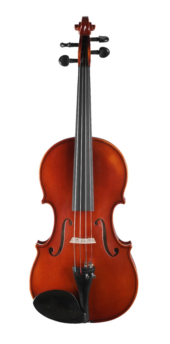Скрипка Strunal 205w 4/4 Academy