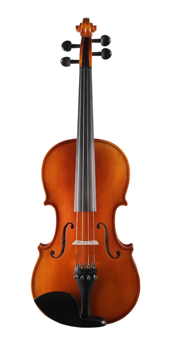 Скрипка Strunal Ravenna