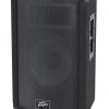 PEAVEY 112i