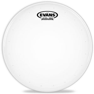 EVANS B14STD 14" ST DRY