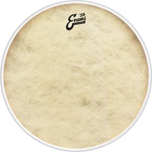 EVANS BD20CT 20" CALFTONE