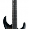 LTD H-1001FR BP (Black Natural Burst)