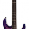 LTD M-1000BP (Purple Natural Burst)