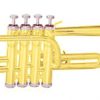 MAXTONE TTC6L Piccolo Trumpet