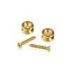 D'ADDARIO PWEP302 BRASS END PIN