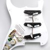 DIMARZIO AREA STRAT REPLACEMENT PICKGUARD 34121