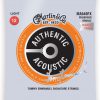 MARTIN MA540FX Authentic Acoustic Flexible Core 92/8 Phosphor Bronze Light - Tommys Choice (12-54)