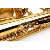 D'ADDARIO SJA02 Saxophone Fabric Neck Strap Alto/Soprano (Industrial) 39756