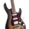 CORT G110 (Open Pore Sunburst) 42778